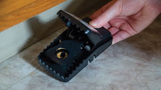 Top 5 Best Rat Traps Review In 2023  Are They Worth Buying [upl. by Rehpoitsirhc721]