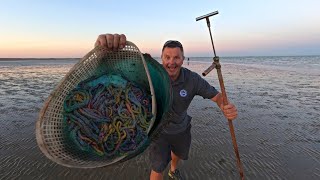 How to collect Lugworm  A simple effective method to SAVE Money and catch fish more Fish [upl. by Somisareg]