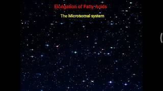 Elongation and desaturation of Fatty acid  Arachidonic Acid formation [upl. by Lorenzo185]