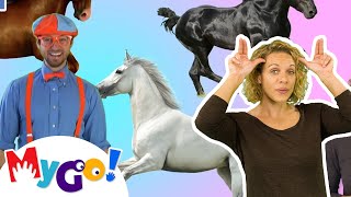 Horse Song  Blippi  MyGo Sign Language For Kids  Educational Videos For Kids [upl. by Va]