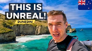 THIS PLACE IS LIKE NO OTHER Dunedin Tunnel Beach Saint Clair Beach New Zealand 🇳🇿 [upl. by Oimetra]