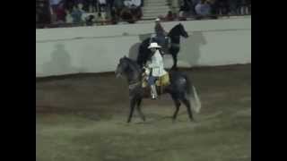 Caballos Bailadores Feria Ganadera Culiacan [upl. by Epperson]