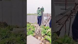 Anti freeze and high temperature resistant fish pond tile fence installation process [upl. by Teahan]