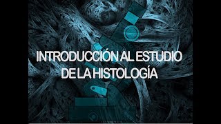 Tejidos  Conceptos básicos  Histología [upl. by Kaia]