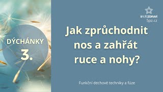 DÝCHÁNKY 3  Jak zprůchodnit nos a zahřát ruce a nohy [upl. by Fabrin]