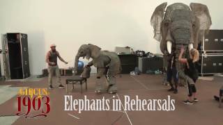 Circus 1903s Elephants in Rehearsal  at the Canberra Theatre Centre 1–10 December [upl. by Leaj20]