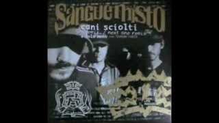 Sangue Misto  Cani Sciolti Next One RMX [upl. by Irovi944]