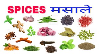 Spices Name in English and Hindi  मसालों के नाम अंग्रेजी और हिन्दी में [upl. by Liban]