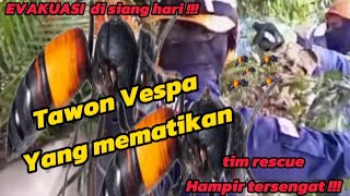 BERBAHAYA  Evakuasi Sarang Tawon Vespa di Siang Hari [upl. by Yrek501]