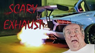 Scary Exhaust scare people and animals  FUNNY REACTIONS [upl. by Hanoy]