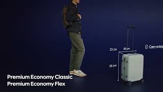 Baggage on Finnair flights Economy Superlight Economy Classic amp Economy Flex [upl. by Adlesirhc]