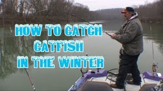 How to locate and catch wintertime catfish tips and techniques [upl. by Iiette]