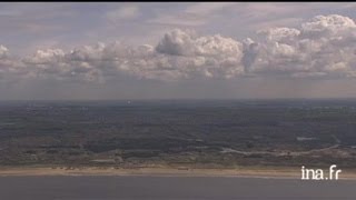 PaysBas  éoliennes et champs de tulipes dans la région de Lelystad [upl. by Etennaej]