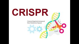 CRISPR  Clustered Regularly Interspaced Short Palindromic Repeats 2024 [upl. by Marron]