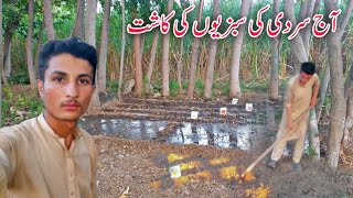 Aaj Sirdiyon Ki Sabzi Kasht Kar Di 🥕  Pakistan Village Life  Muhammad Siyab Khan [upl. by Lawford980]