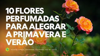 10 FLORES PERFUMADAS para ALEGRAR a PRIMAVERA e o VERÃO [upl. by Hsu606]