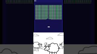 Please subscribe and share to let the sheep know who they are cute shorts प्यारा sheep memes [upl. by Nahor]