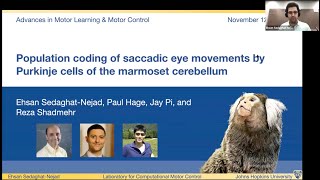 Ehsan SedaghatNejad Population coding of saccadic eye movements by Purkinje cells 111220 [upl. by Alolomo]