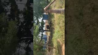 5 Acres Organic Agriculture Land for Lease In Shankarampet Medak Hyderabad [upl. by Imre]