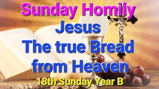 Sunday Homily  18th Sunday Year B  Jesus is the Bread from heaven [upl. by Hara240]