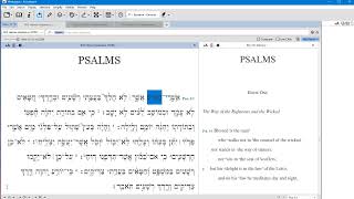 Accordance Basics for Hebrew [upl. by Ellesig]