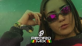 AMEAÇA  MC Danny Reggae Remix 2021 DJ Pedro Mix [upl. by Aerdnad]