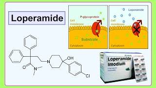 loperamide [upl. by Nomyar]