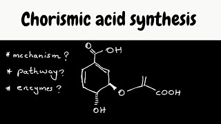 Biosynthesis part 7  shikimic pathway chorismic acid synthesis [upl. by Jutta51]