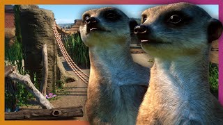 Meerkat Habitat  Planet Zoo [upl. by Llesig779]