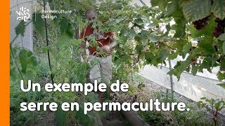 La minute permaculture 22  Un exemple de serre en permaculture [upl. by Weed753]