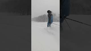 2025 Powder Ski Comparison Teaser with SkiEssentialscom [upl. by Terces322]