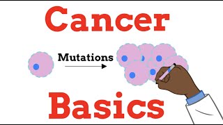 Introduction to Oncology Cancer Basics FOR BEGINNERS [upl. by Eldoree]