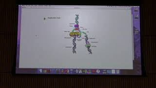 Lecture 44 Aherns BB 451  DNA Replication II [upl. by Potter]