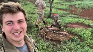 Hawaii Hunting Vlog Part 13  BIG BUCKS DOWN [upl. by Faucher]