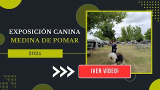 Exposición Canina Internacional de Medina de Pomar 2024 [upl. by Akcemat309]