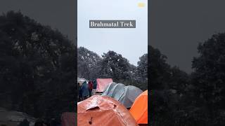 Brahmatal Trek ⛰️themountainhike shorts viralshort trending new mountains treking  view [upl. by Ahsiea]