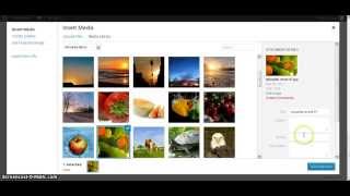 How to Create Multiple Gallery [upl. by Connelley79]