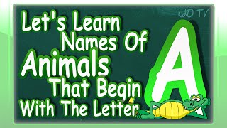 Animals Names In English That Begin With The Letter A  Learn Animals Names With Pictures  kidO TV [upl. by Dahsraf]