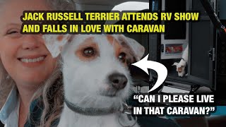 Jack Russell falls in love with RV [upl. by Carita479]