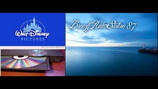 My Disney Laserdisc Collection [upl. by Atirehs]