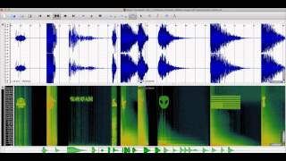 Hidden Image SFX Spectrogram Demo [upl. by Johns207]