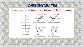 Pyranose and furanose form of DFructose [upl. by Sollars]