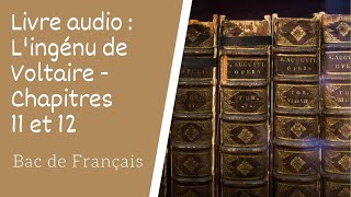 Livre audio Lingénu de Voltaire Chapitres 11 et 12 [upl. by Ehudd]