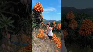 Fruit 😜🍍🍎🍓🍇subscribe shorts edit fruit apple credit [upl. by Yusem]