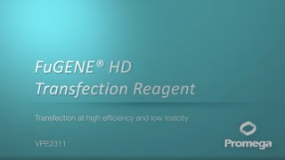 FuGENE® HD Transfection Reagent Video [upl. by Conyers]