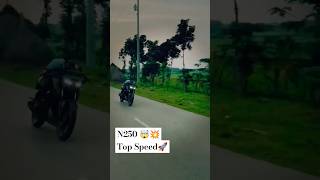 Pulsar N250  Top Speed test 🚀 bike pulsar pulsarn250 biker biketopspeed trending foryou fy [upl. by Atalanti]