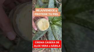 Rejuvenece Con esta Crema Casera de ALOE VERA [upl. by Mchugh]