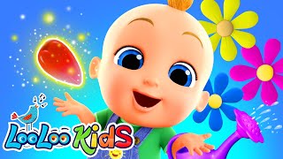 🌱𝑵𝑬𝑾 My Little Seed Song  S3EP79 Kindergarten Fun  LooLoo Kids Songs for Kids [upl. by Mccoy]