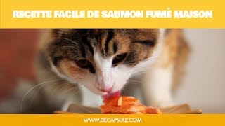 Recette facile comment fumer un saumon fumé  La Décapsule [upl. by Donia]