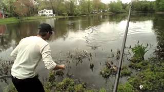 Bass and Pickeral Fishing at 3 Lakes in NJ [upl. by Rabi]